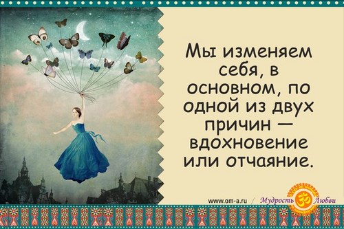 Новость