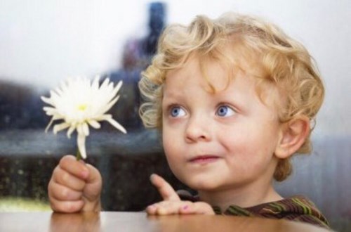 Изображение AMAKids детский