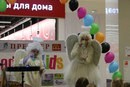 Изображение AMAKids