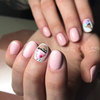 Новость Beauty Club