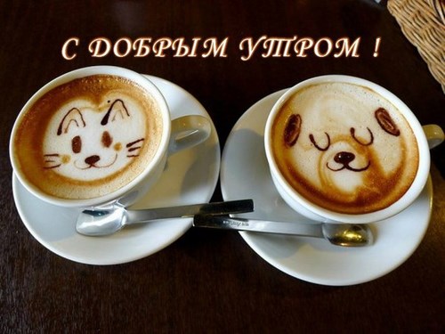 Новость Белвест сеть магазинов