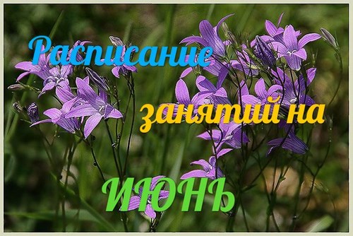 Для Индиго, клуб развития