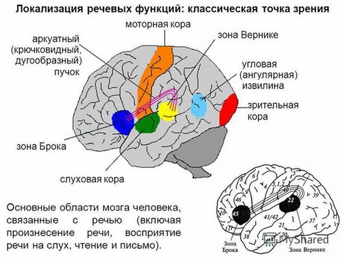 Кругозор Рязань
