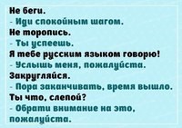 Малышня школа раннего