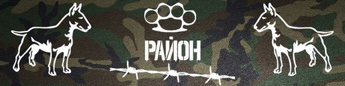 Логотип компании Район, магазин молодежной одежды и обуви