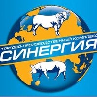 Логотип компании Синергия, магазин