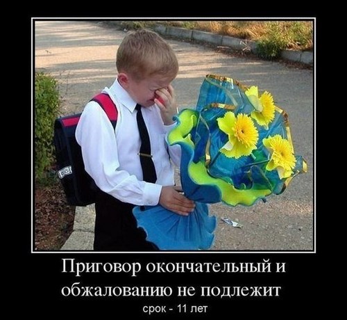 Для Три Крестьянина компания
