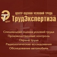 Логотип компании ТрудЭкспертиза, центр оценки условий труда