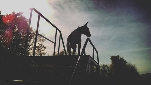 Картинка УльтраШоп Рязань