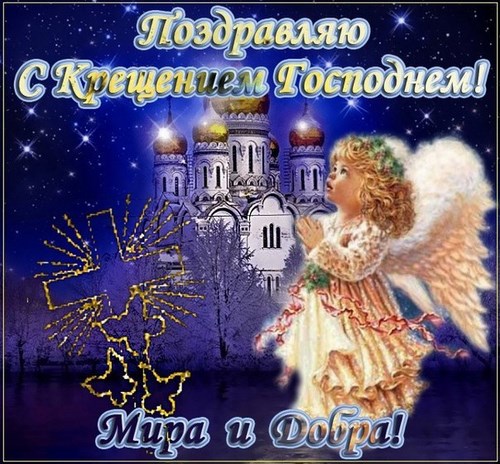 Изображение Умная пчелка Рязань